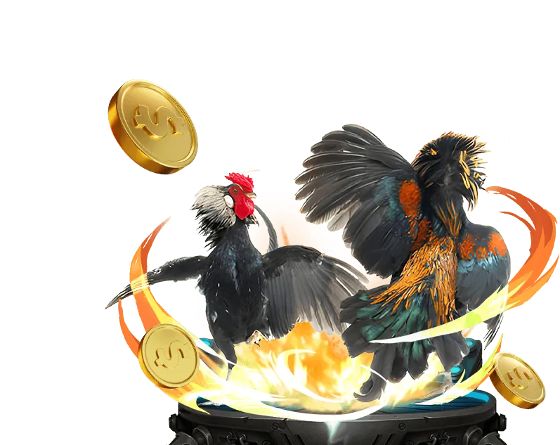 Khuyến mãi hấp dẫn tại 9vnd win